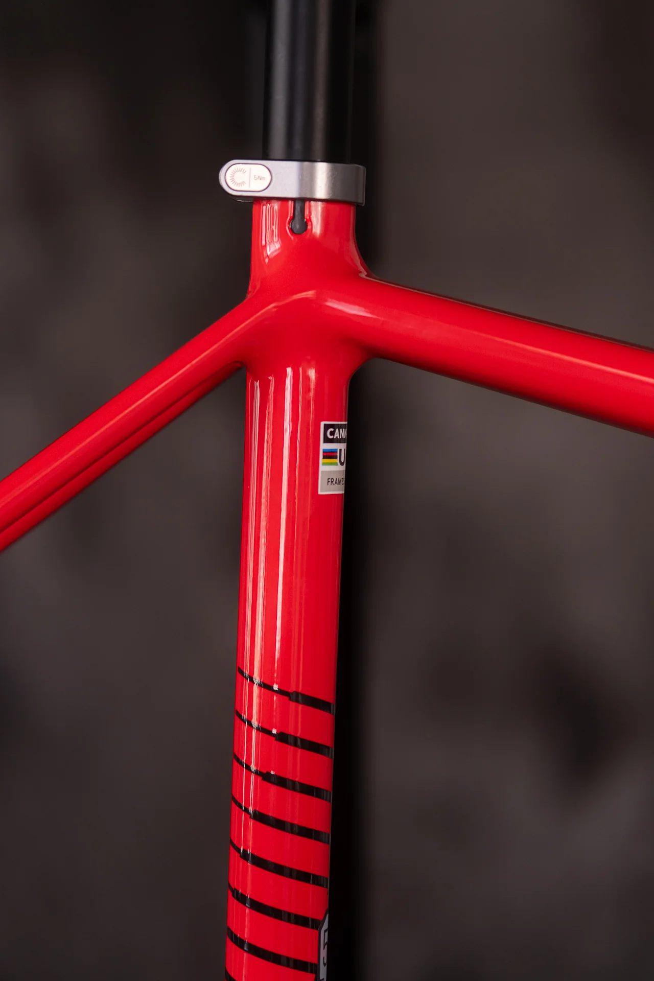 Cannondale Caad14 Frameset RRD - Image 10