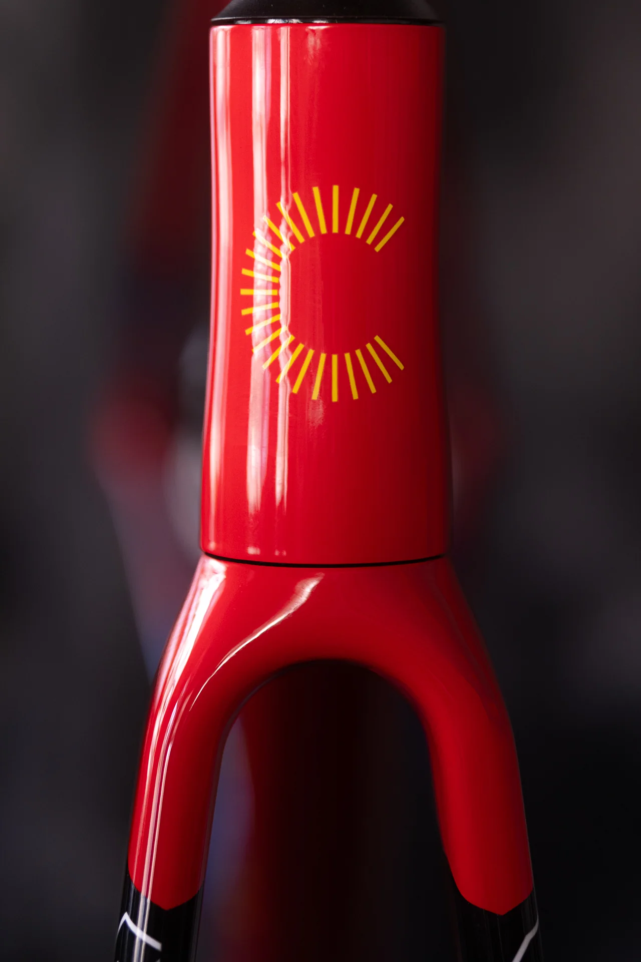 Cannondale Caad14 Frameset RRD - Image 8