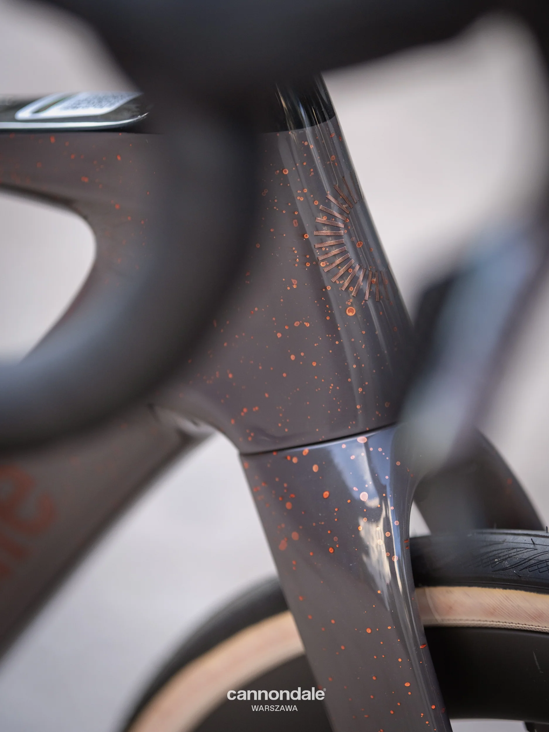Cannondale Synapse Carbon 2 Force AXS Smartsense CPO - Image 10
