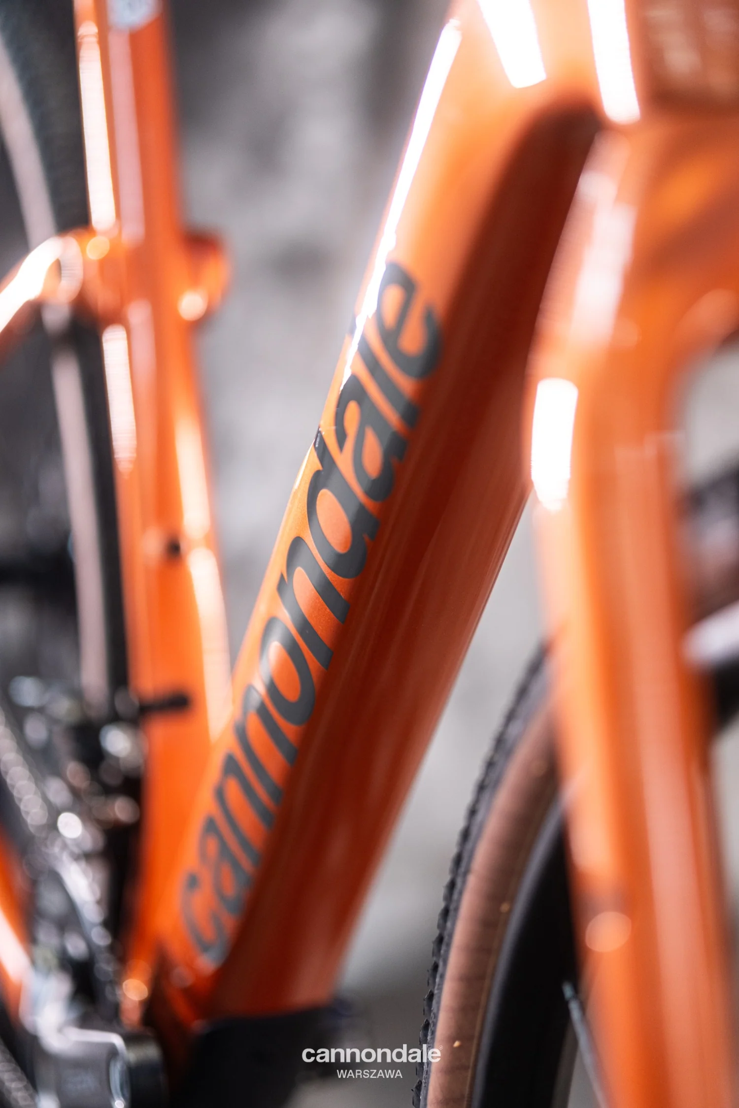 Cannondale Topstone Carbon 3 GRX 1X ORS - Image 5